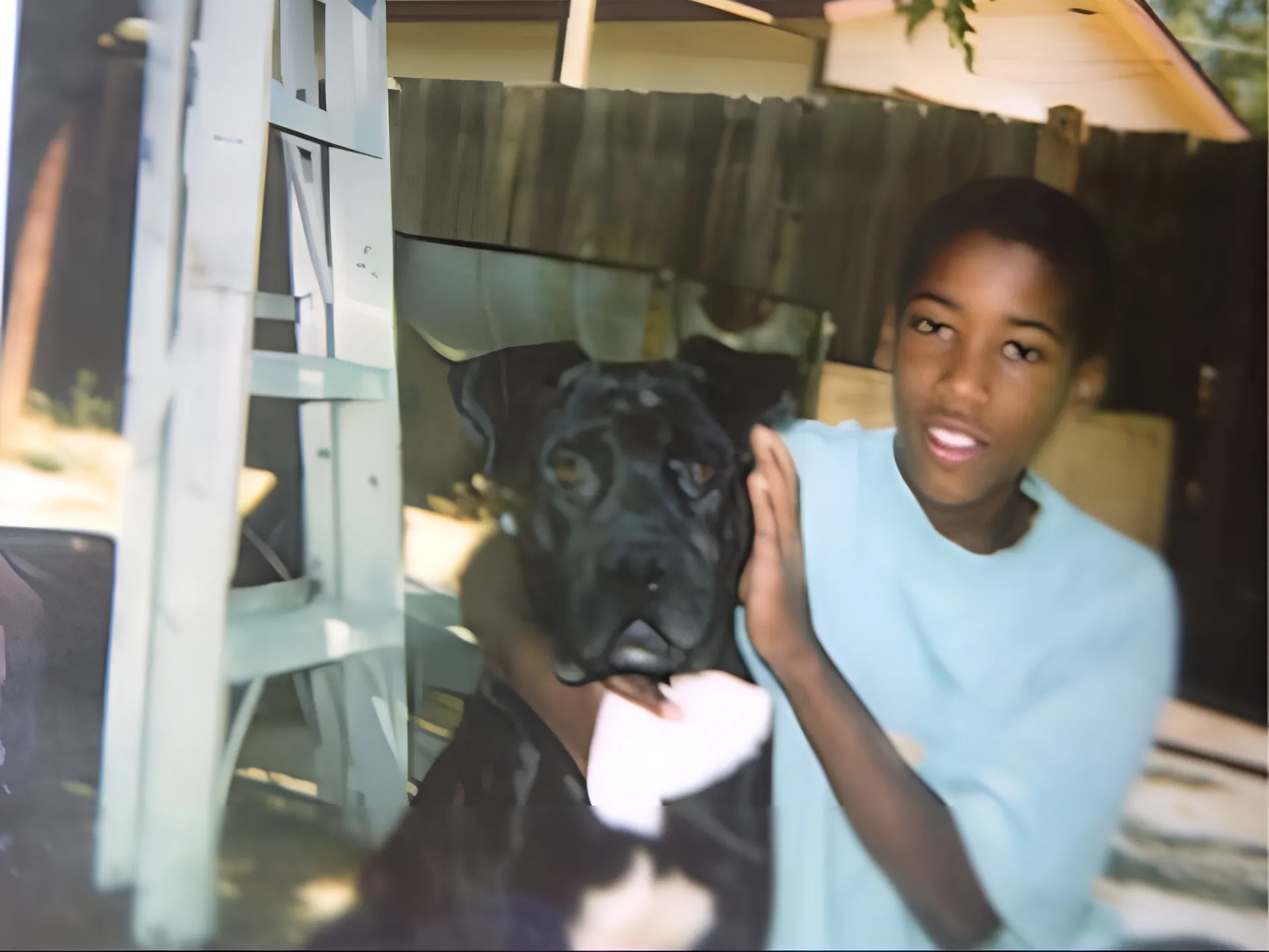 Owner Taking Care Of Dogs Since